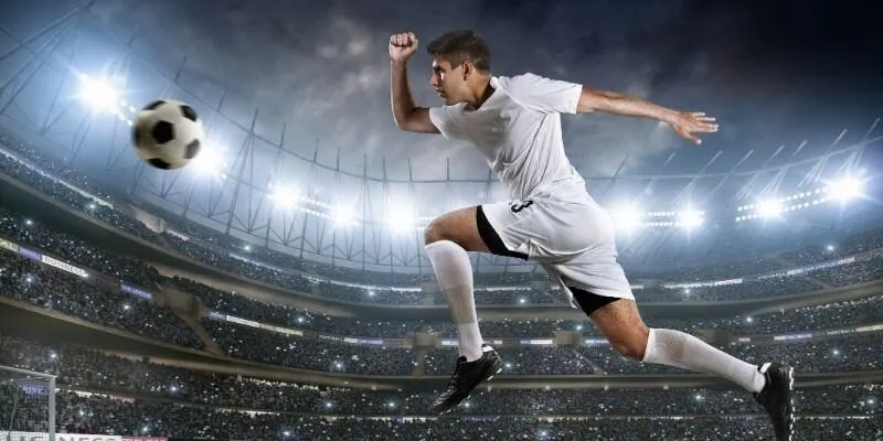 Áp dụng bí quyết cá cược thắng đậm