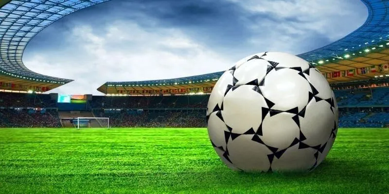 Giới thiệu sảnh thể thao Panda Sports