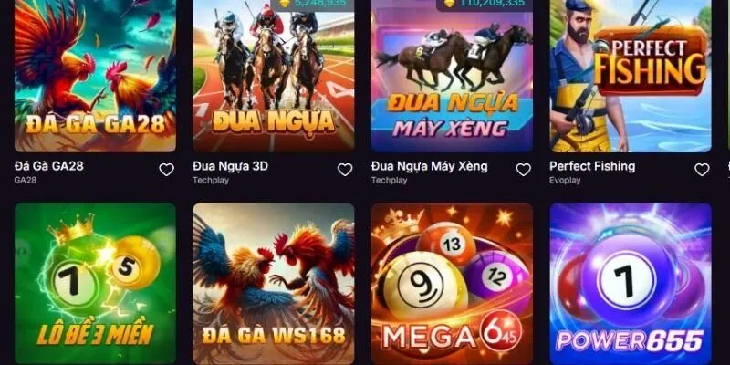 Tổng quan về điều khoản và điều kiện